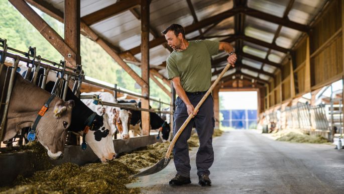 Forh?lzlihof_Waldvogel_Hinwil_Arbeit