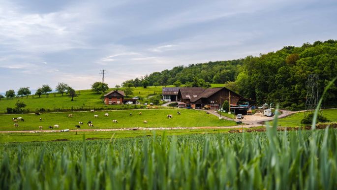 Hof Basler_Basler_Küttigen_Hof