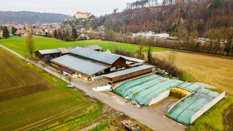 Steinhof_Ruprecht__Drohne