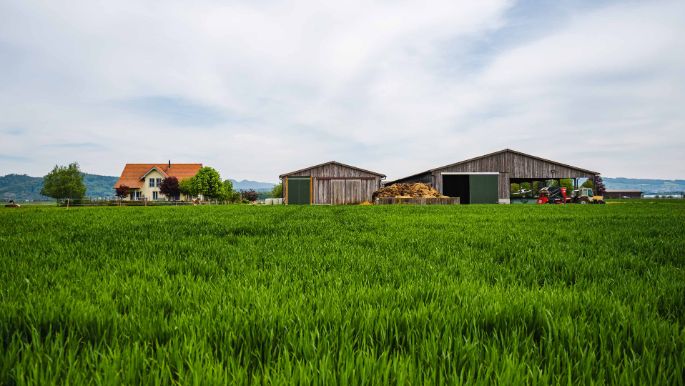 Holderhof_Vogt_Lupfig_Hof