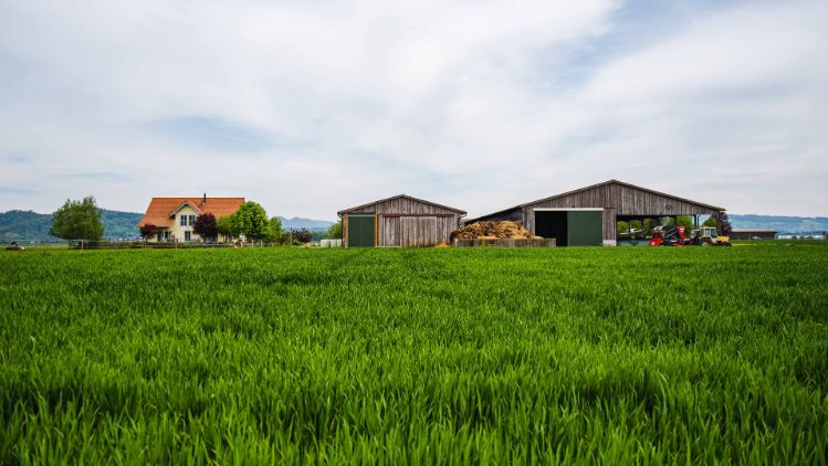 Holderhof_Vogt_Lupfig_Hof