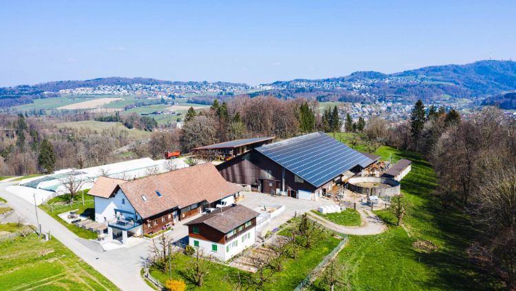 BG_Hagenbucher-Job_Hagenbucher_Birmensdorf_Drohne