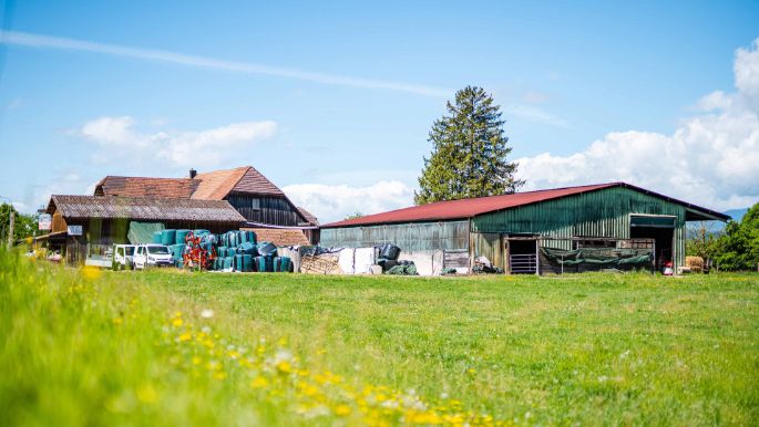 Milchwirtschaftsbetrieb_Schmid_Schmid_Busswil_BE_Hof
