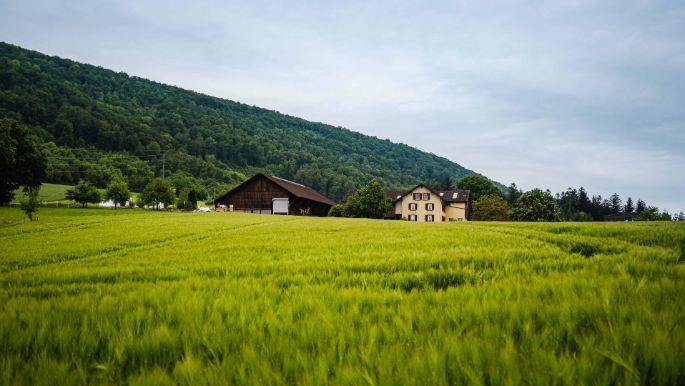 Hof Studinger_Studinger_Dulliken_Hof