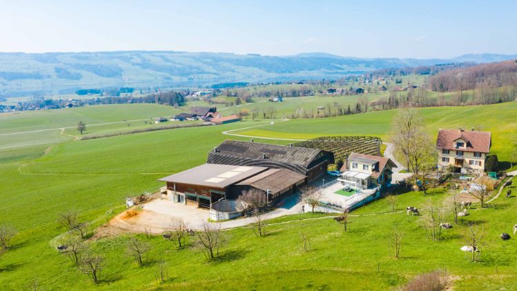 Buehlen_Zimmermann_Kleinwangen_Drohne