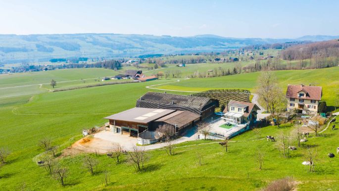 Buehlen_Zimmermann_Kleinwangen_Drohne