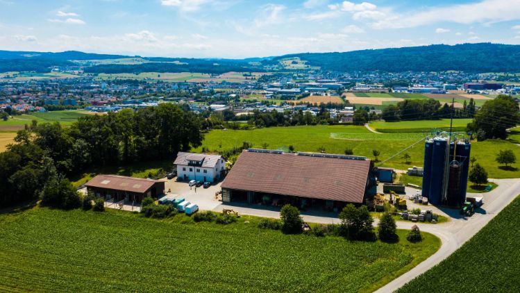 Sunneschy_Sterbel_Anglikon_Drohne