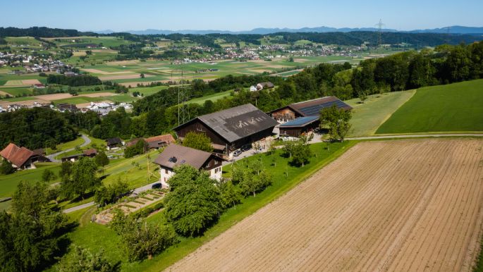 Grossberghof_Häfliger_Triengen_Drohne