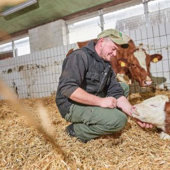 Sädelhof, Thomas und Jan Bühlmann-Scheidegger, Berikon_Stall mit Kuh_2