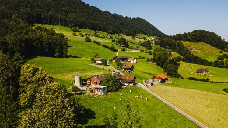 Schwabenweid_Kistler_Reichenburg_Drohne