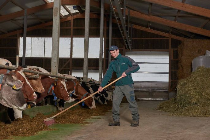 GG Näf, Thomas Näf, Buttwil_Stall_5