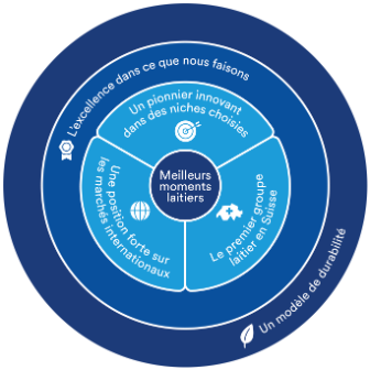 about-visual-strategy-wheel-FR