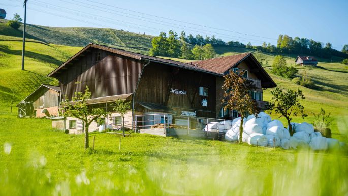 Chraejebueel_Vogel_Hasle_LU_Hof