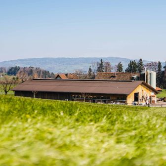 GG Hottinger-Bütler_Bütler_Wädenswil_Hof