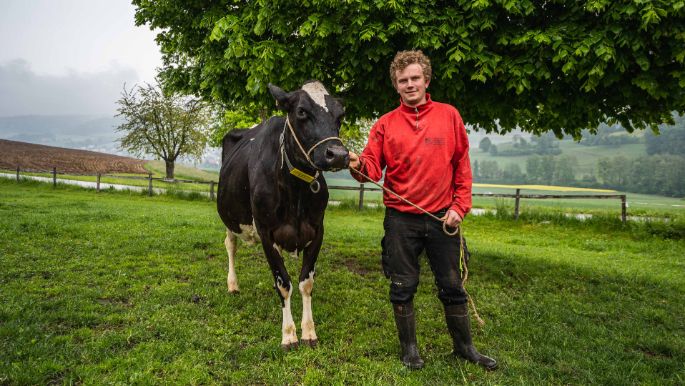 Schmidhof_Schmid_Lengnau_Kuh