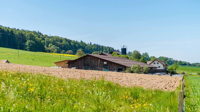 Lernort-Bauernhof_Pfefferli_Wangen_bei_Olten_Hof