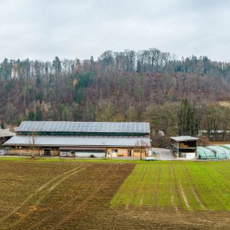 Steinhof_Ruprecht_Hof