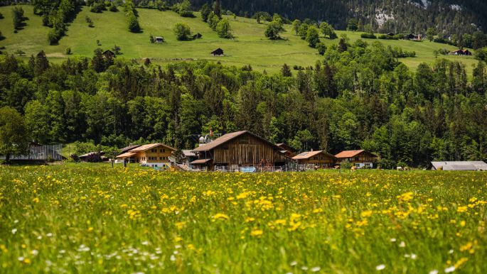 Hof Bieri_Bieri_Boltigen_Hof