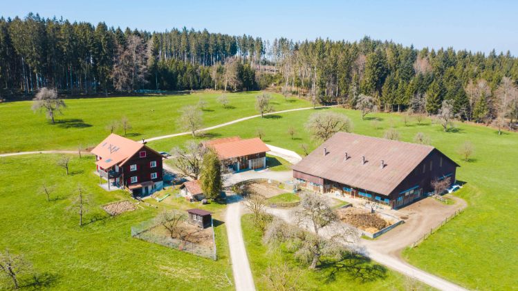 Sonnerihof_Haas-Fischer_Beinwil_Drohne