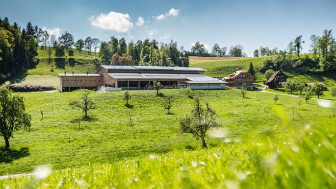 Altmoos_Dissler-Brun_Wolhusen_Hof