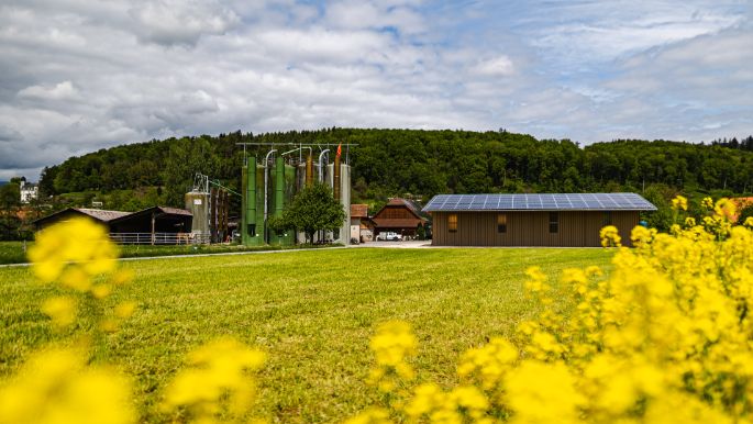 Langeten_Kopp_Dotzigen_Hof