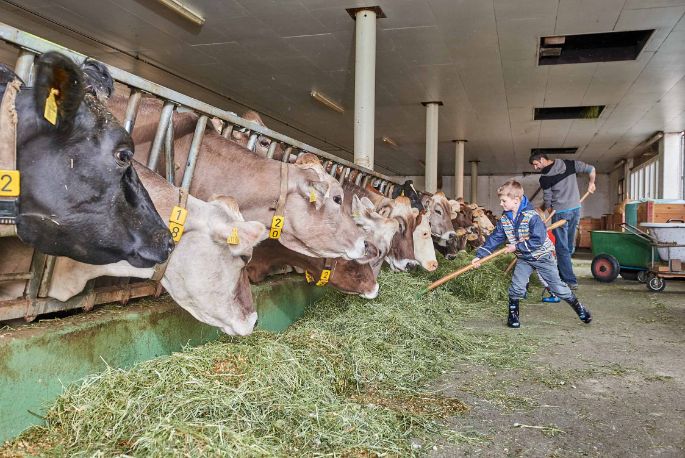 Bleichi_Andreas Krieg, Niederurnern_Stall