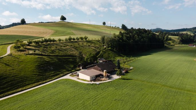 Wiggermatt_Meier_Willisau_Drohne-2