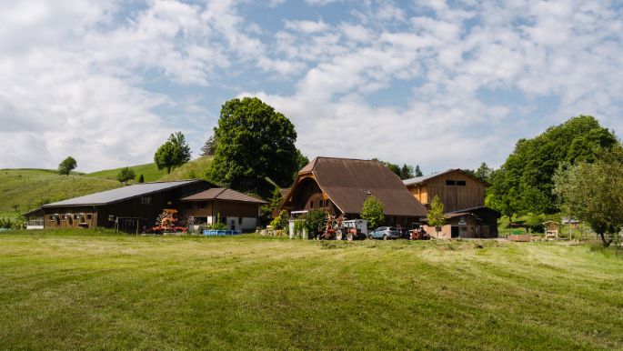 Lochm?hle_Filliger_Ufhusen_Hof