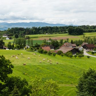 Korrodihof_Korrodi_Hombrechtikon_Drohne