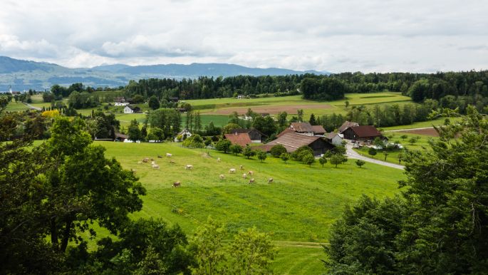 Korrodihof_Korrodi_Hombrechtikon_Drohne