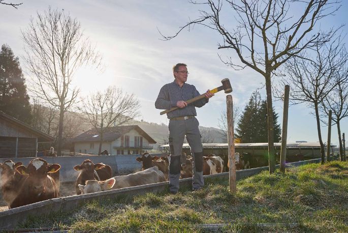 Surenmatte, Wendelin Wyss-Häfliger, Triengen_Weide_2