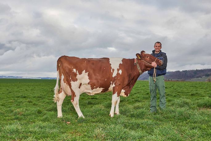 Sunnehof, Otto Zimmermann-Oeschger, Döttingen_Ganzkörper mit Kuh