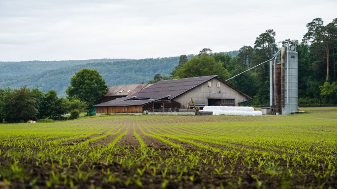 Buchhof_B?rgi_Erlinsbach_Hof