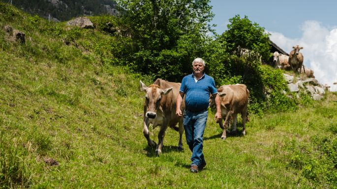Dieden_Baumann_Wassen_Arbeit-2