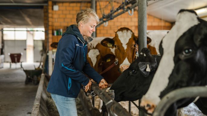 Egghof_Lienhard_Steinmaur_Arbeit