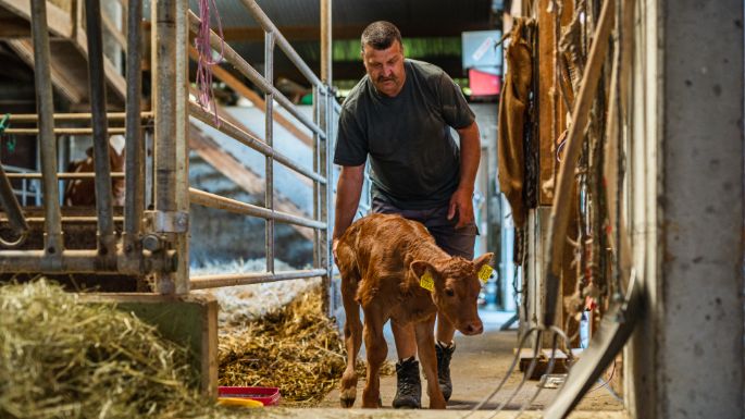 Feldhof Wiederkehr_Wiederkehr_Gontenschwil_Arbeit