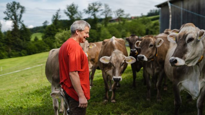 Fohrenhof_Felder-R?ttimann_Kleinwangen_Arbeit