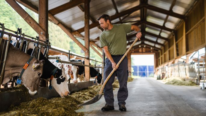 Forh?lzlihof_Waldvogel_Hinwil_Arbeit
