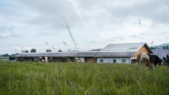 Forh?lzlihof_Waldvogel_Hinwil_Hof