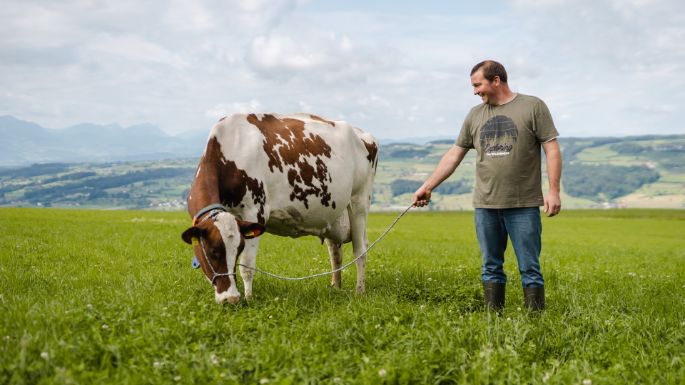 Geissb?hl_Oehen-Barmet_Lieli_Kuh