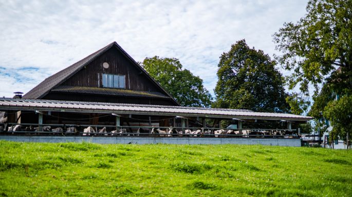 Gschweichhof_Geisseler_Triengen_Hof