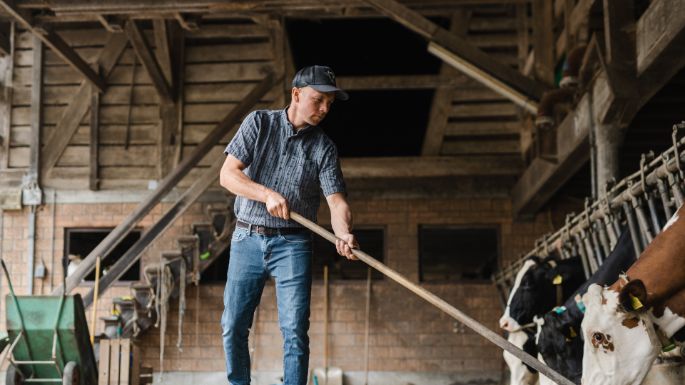 Hegenhof_Aebersold_Bollodingen_Arbeit