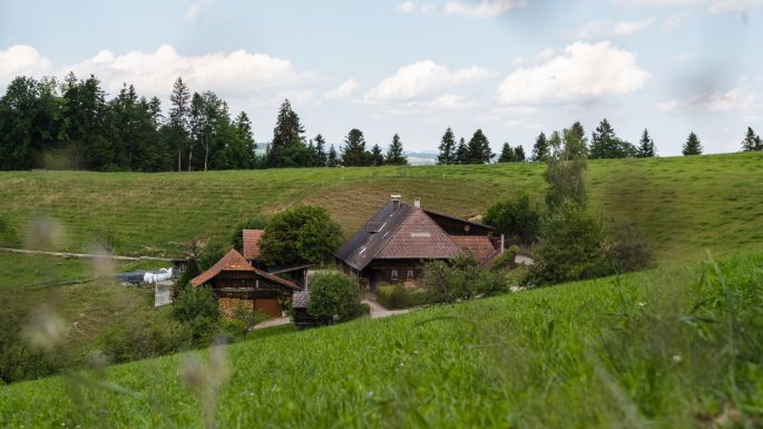 Heiniroth_Habegger_Gr?nen_Hof