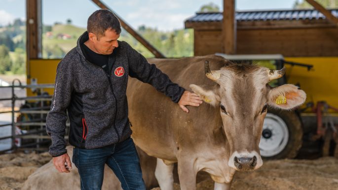 Hinter-Opfersei_Burri_Hergiswil b. Willisau_Arbeit
