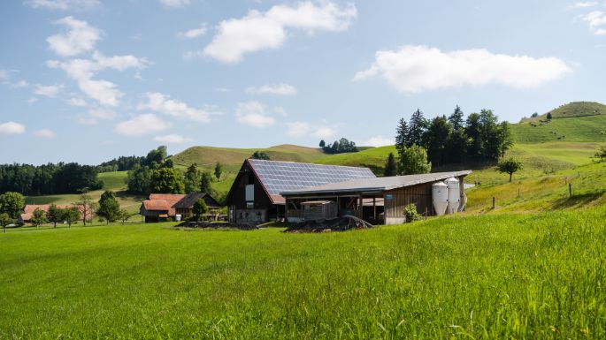 Hinter-Opfersei_Burri_Hergiswil b. Willisau_Hof