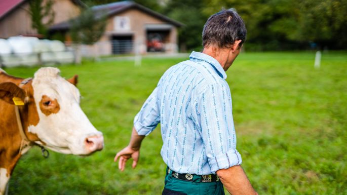 Hof_Lanzenen_Balmer-Müllener_Interlaken_Arbeit