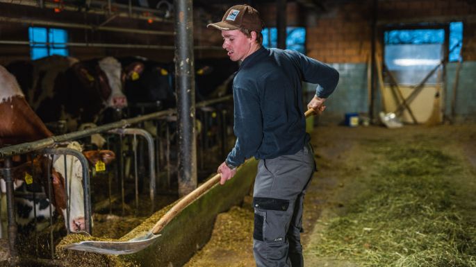 Huebelihof_Baumann_Diessbach_Arbeit