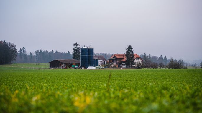 Huebelihof_Baumann_Diessbach_Hof