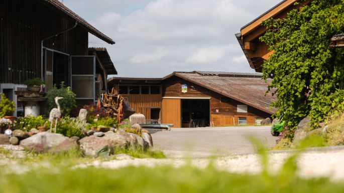 Im Feld_Frei_Freudwil_Hof