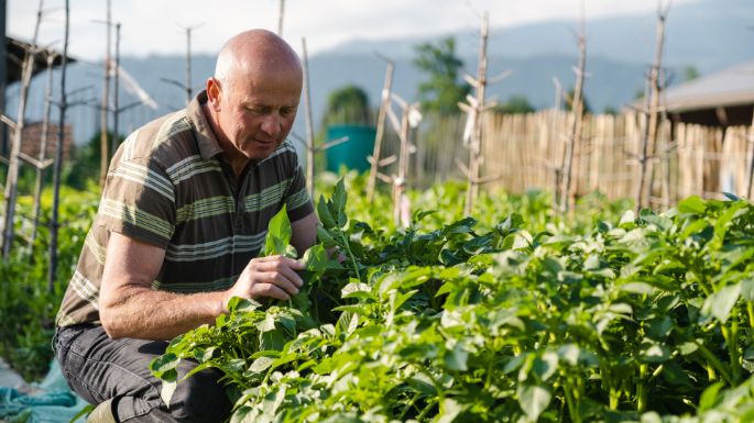 Innerrain_B?hlmann_Emmenbr?cke_Arbeit